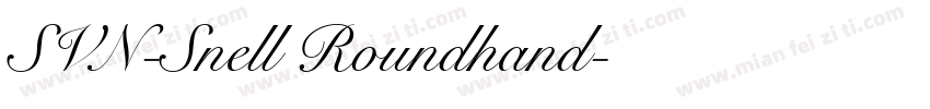 SVN-Snell Roundhand字体转换